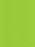 Рулонные шторы термо (Оазис) зелёный луч